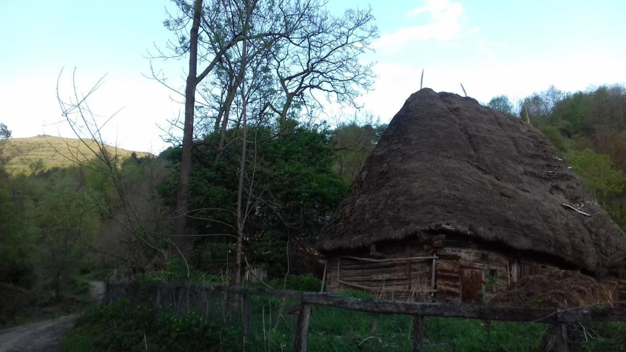 Фермерские дома Casa din prund Ocolis Ocoliş-16