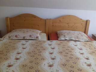 Фермерские дома Casa din prund Ocolis Ocoliş Двухместный номер с 2 отдельными кроватями-3